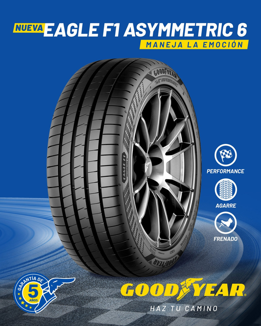 255/40R19 Goodyear Eagle F1 Asymmetric 6